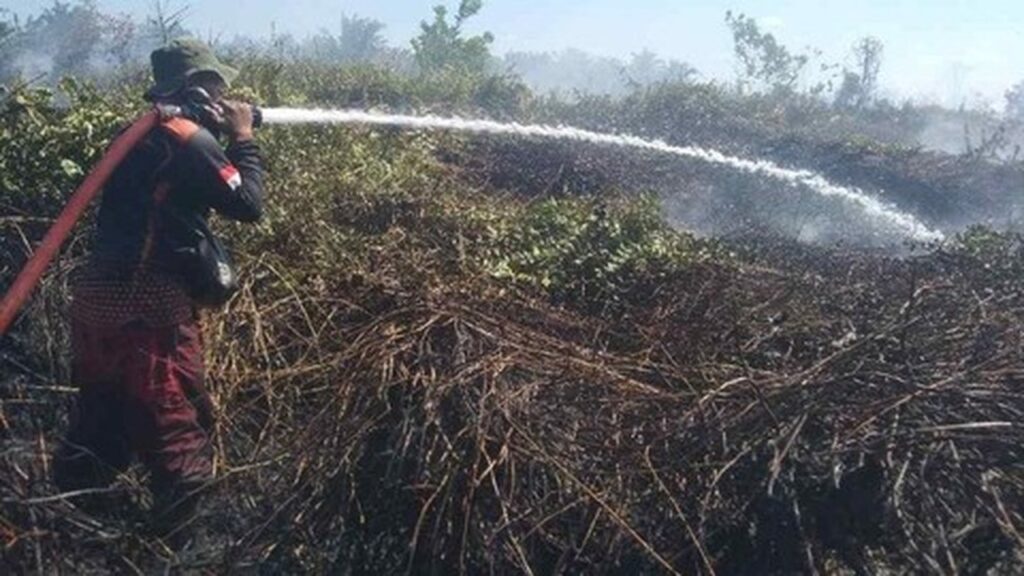 Kebakaran Lahan di Kobar: Delapan Hektare Hangus Dalam Dua Hari