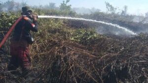 Kebakaran Lahan di Kobar: Delapan Hektare Hangus Dalam Dua Hari