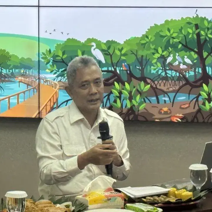 KLH Rekomendasikan Perbaikan Tata Ruang Pascabencana di Tiga Provinsi
