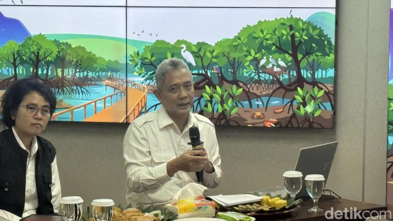KLH Rekomendasikan Perbaikan Tata Ruang Pascabencana di Tiga Provinsi