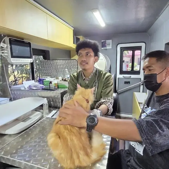 Pemprov DKI Luncurkan Mobil Klinik Hewan Keliling Layani Kucing, Iguana, Hingga Kambing