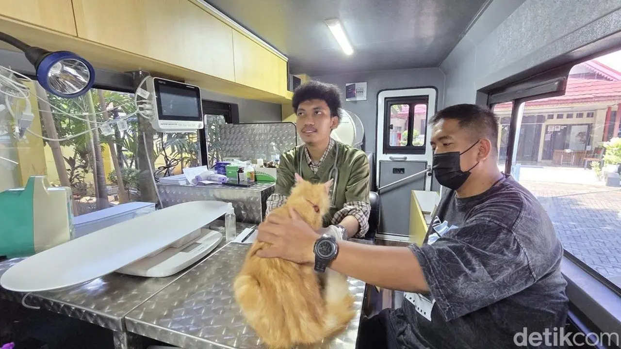Pemprov DKI Luncurkan Mobil Klinik Hewan Keliling Layani Kucing, Iguana, Hingga Kambing