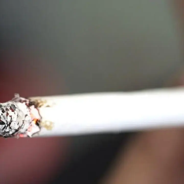 Petugas Dishut Jakut Teguk Rokok di Mobil Dinas, Instansi Minta Maaf