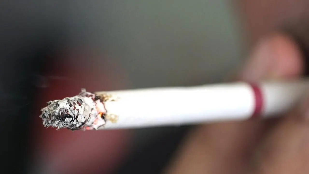 Petugas Dishut Jakut Teguk Rokok di Mobil Dinas, Instansi Minta Maaf