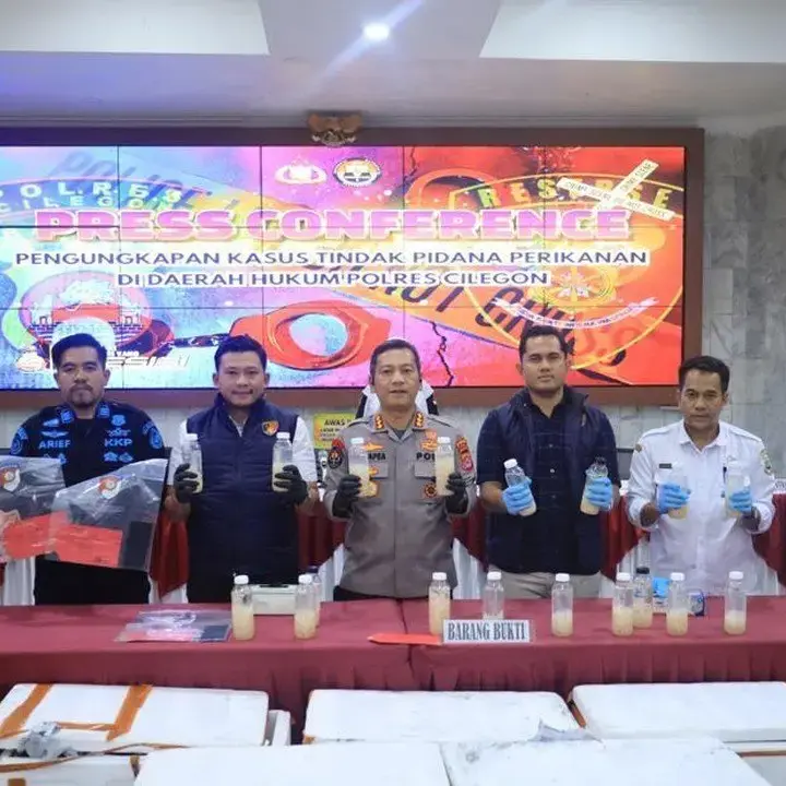 Polda Banten Gagalkan Penyelundupan 50.000 Benur Senilai Rp 7,5 Miliar