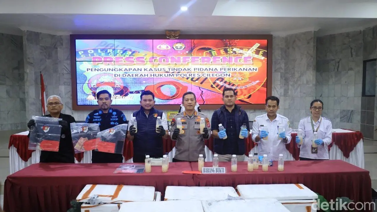 Polda Banten Gagalkan Penyelundupan 50.000 Benur Senilai Rp 7,5 Miliar