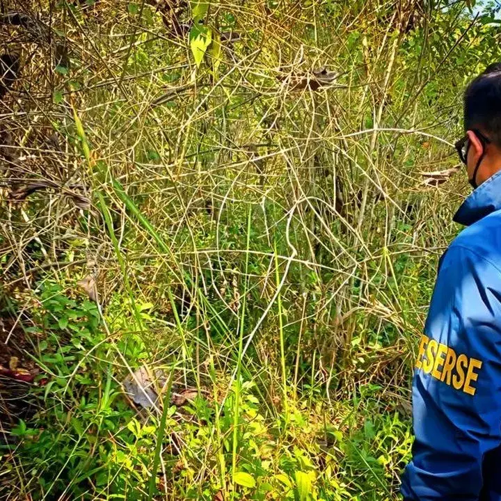 Polisi Tangkap Terduga Pelaku Setelah Kerangka Perempuan Diidentifikasi di Sukabumi