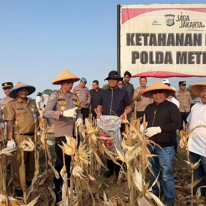 Polres Metro Bekasi Panen 20 Ton Jagung di Sukamahi Dukung Ketahanan Pangan