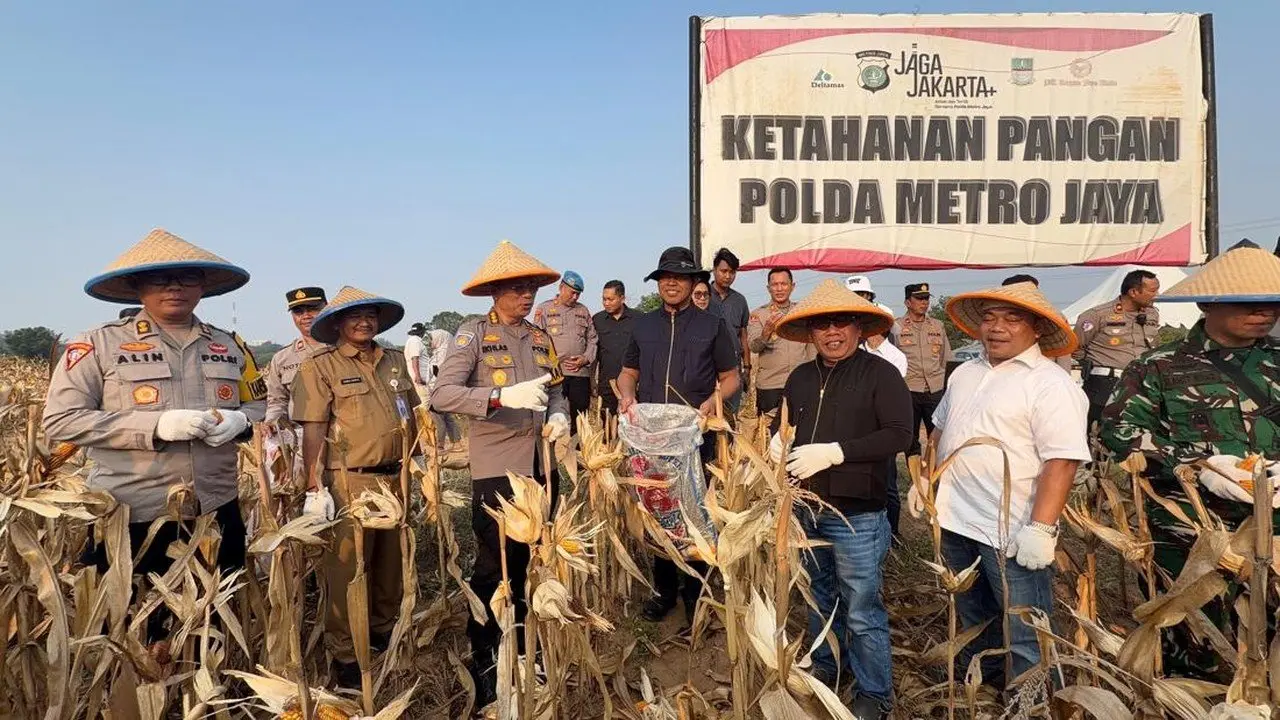 Polres Metro Bekasi Panen 20 Ton Jagung di Sukamahi Dukung Ketahanan Pangan