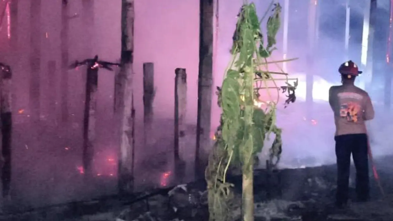 Ribuan Ayam Mati Terpanggang Akibat Kandang Ayam Ludes Terbakar di Tulungagung