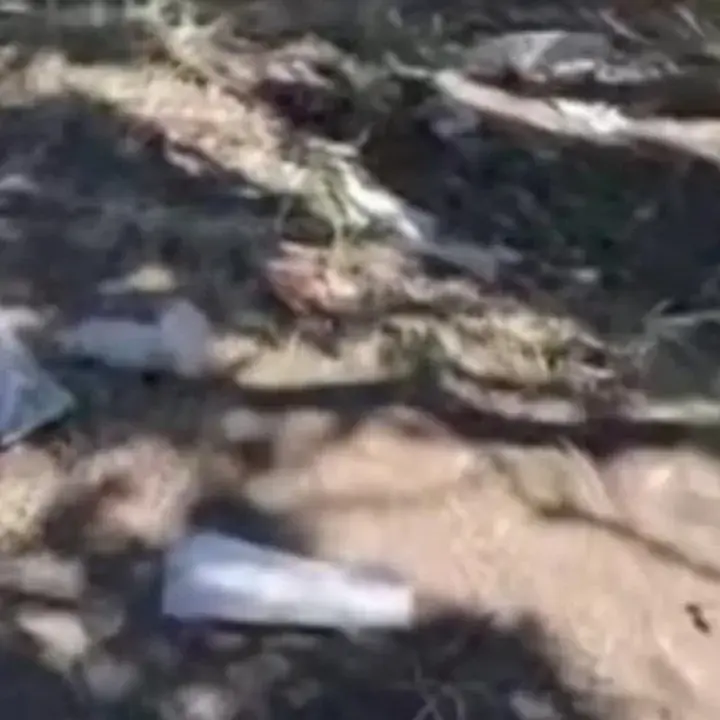 Sampah Tisu Basah Dominasi Puncak Gunung Sumbing, Pengelola Agendakan Kerja Bakti