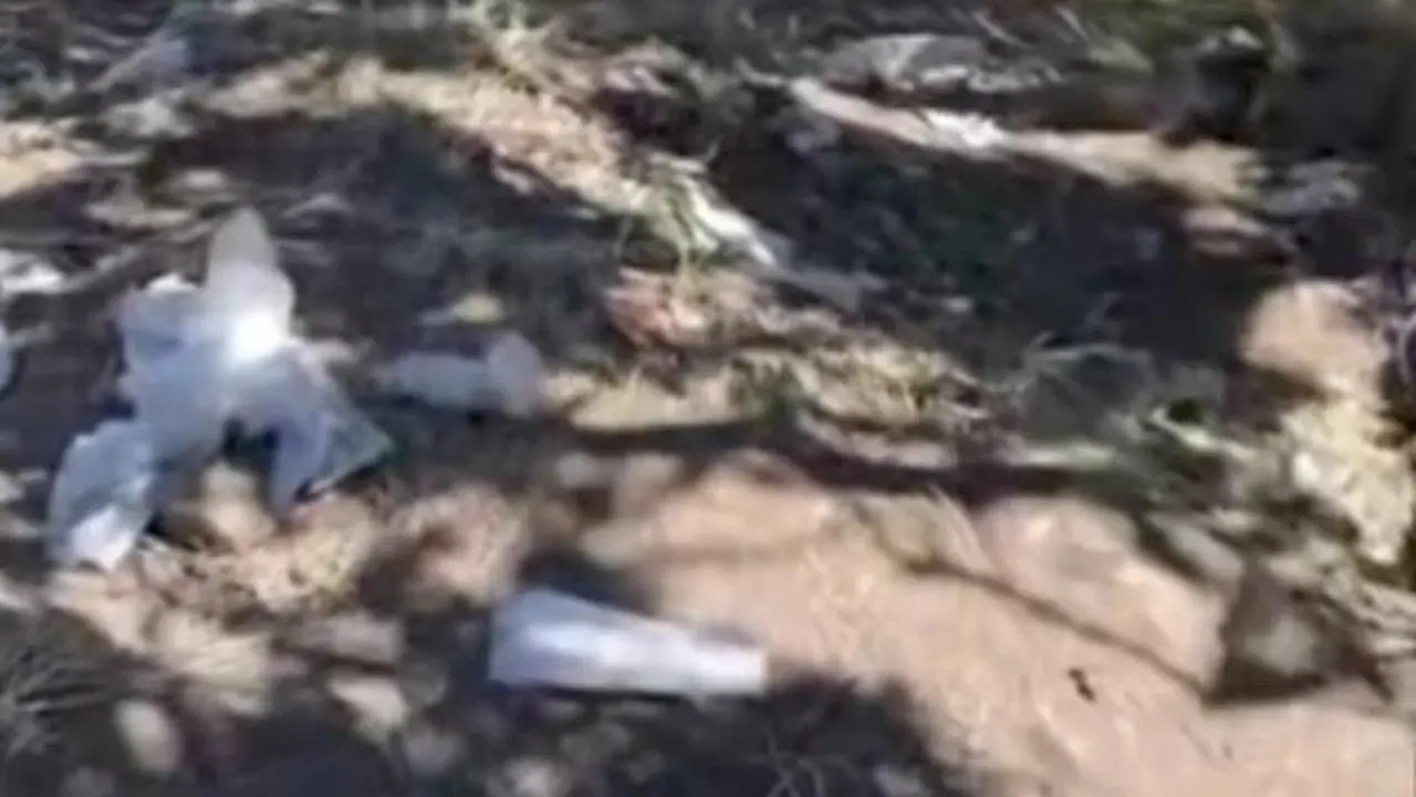 Sampah Tisu Basah Dominasi Puncak Gunung Sumbing, Pengelola Agendakan Kerja Bakti
