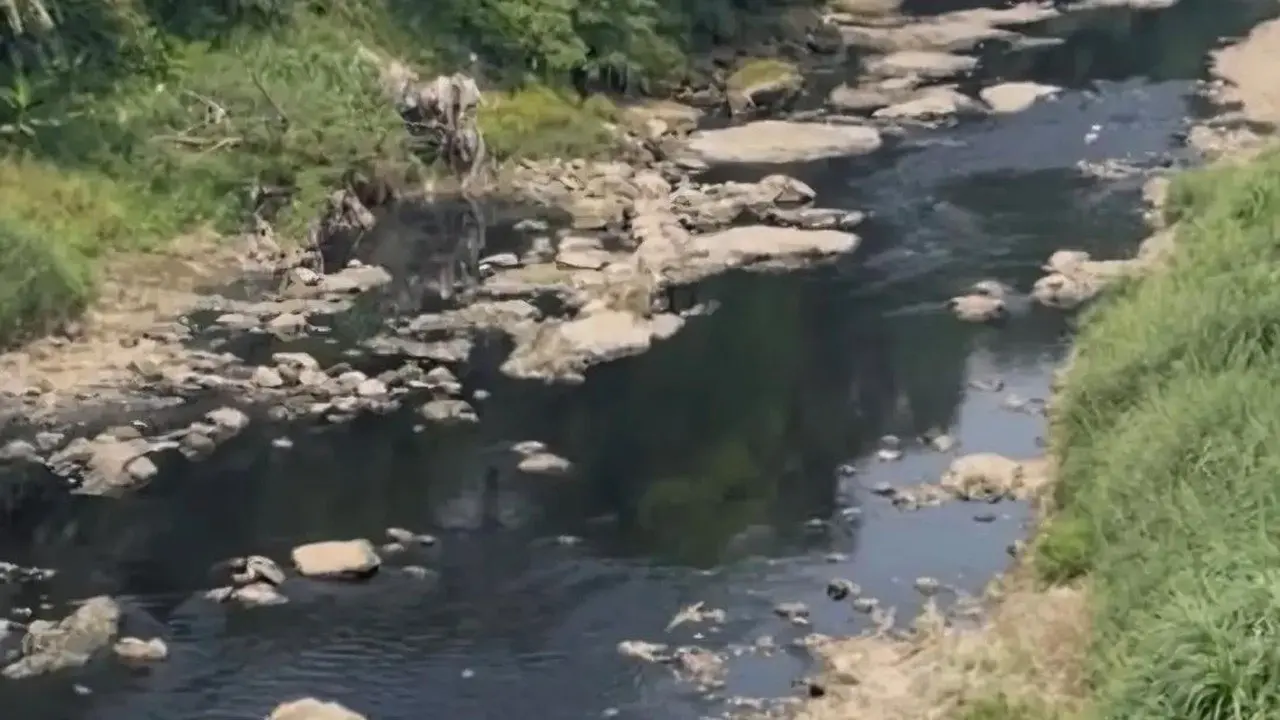 Sungai Cileungsi Berubah Hitam, Pemkab Bogor Selidiki Dugaan Pencemaran Limbah