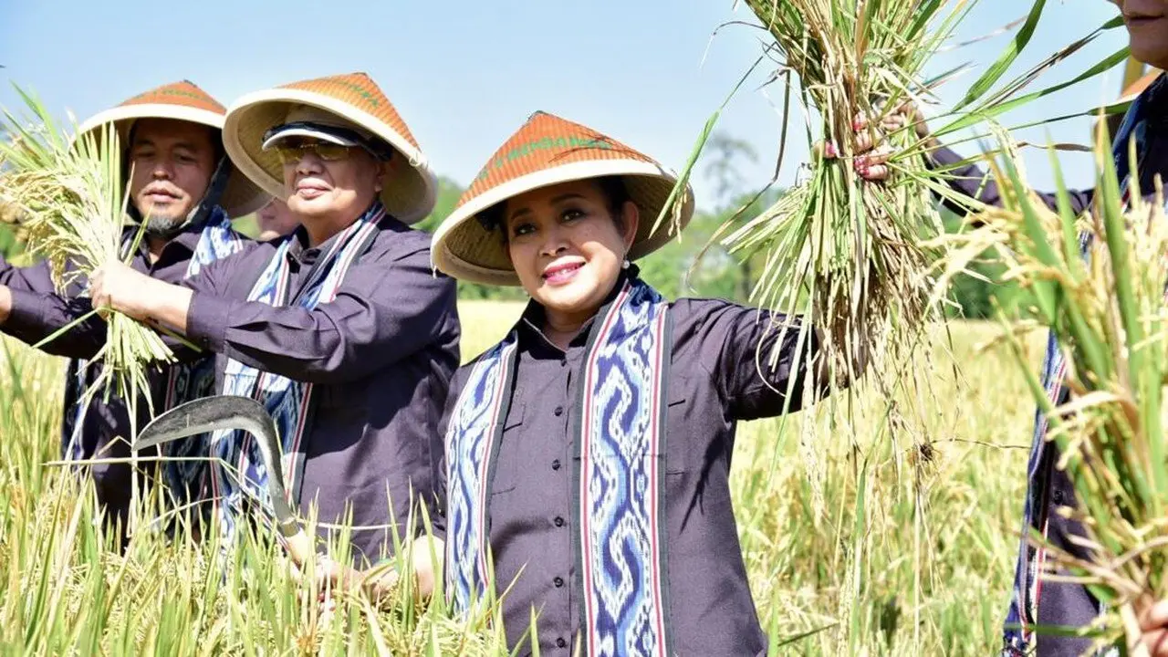 Titiek Tegaskan Kesejahteraan Petani Syarat Utama dalam Program Swasembada Pangan