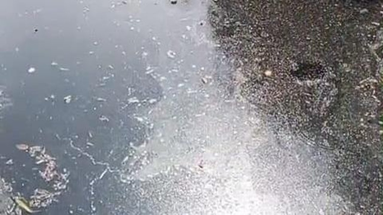 Warga Kopo Keluhkan Sungai Cibeureum Berubah Keruh dan Bau Comberan