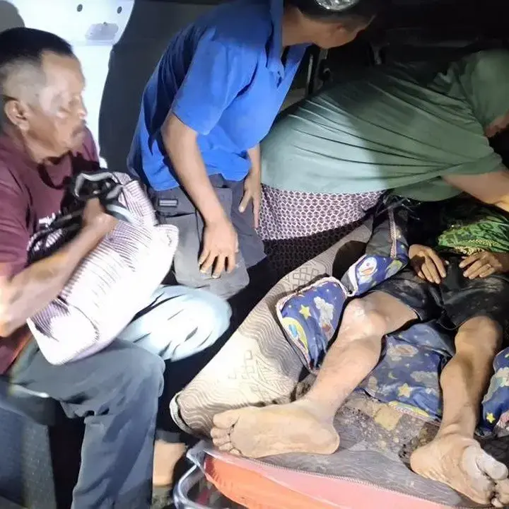Waspada! Harimau Sumatera Terkam Pekerja Lahan di Siak