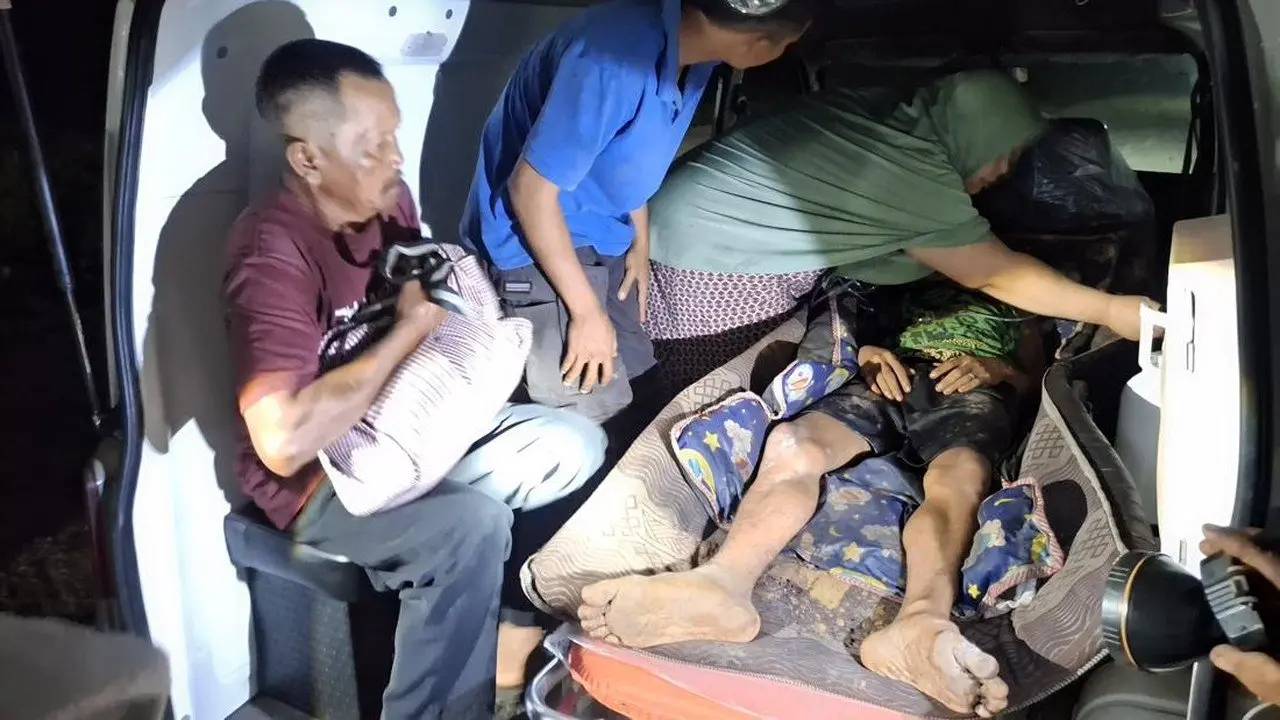 Waspada! Harimau Sumatera Terkam Pekerja Lahan di Siak